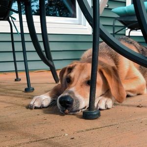 Meet your Posher, Kerri